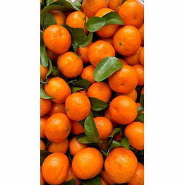 agriamps® mandarin/ oranges