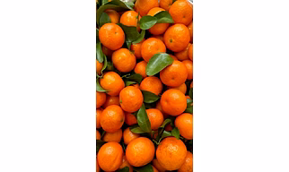 Mandarin/ Oranges