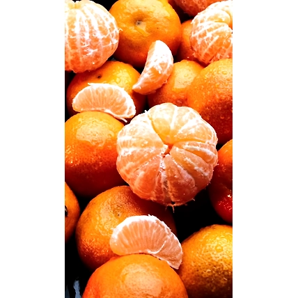 Mandarin/ Oranges-1