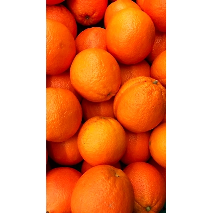 Mandarin/ Oranges-4