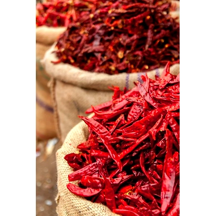 Premium Red Chilli Powders-4