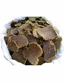Cotton seed oil cake( Cattel feed)