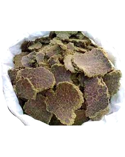 Cotton seed oil cake( Cattel feed)-12229866