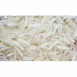 1191 sella white