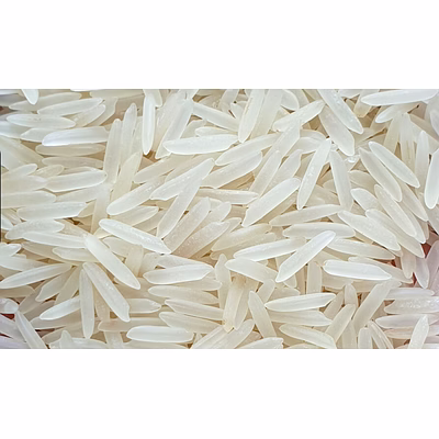 1191 sella white