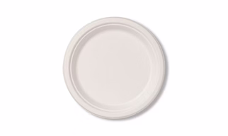 10" ( 25cm ) Bagasse Round Plate - ( Pack of 1 Pcs )