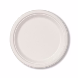 prakritii 12" ( 30cm ) bagasse round plate - ( pack of 1 pcs )
