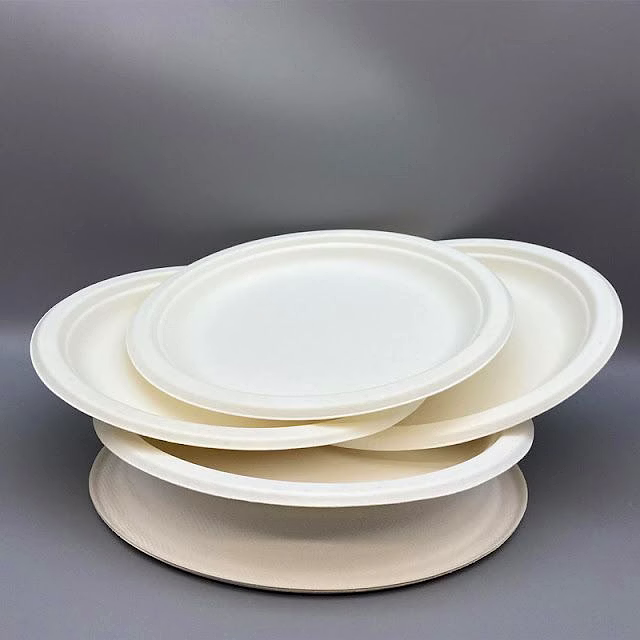 11" ( 28cm ) Bagasse Round Plate - ( Pack of 1 Pcs ) image 3
