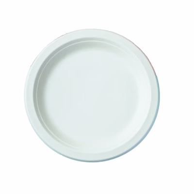 prakritii 7" ( 18cm ) bagasse round plate - ( pack of 1 pcs )