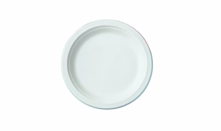 6" ( 15cm ) Bagasse Round Plate - ( Pack of 1 Pcs )