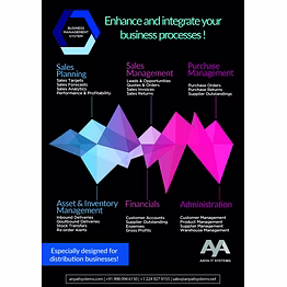 business information management system