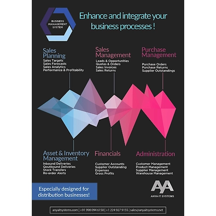 Business Information Management System-384817-869a888e