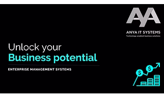 Enterprise Management System