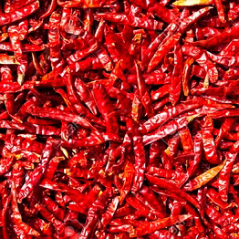 dry red chillies