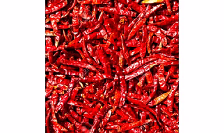 Dry Red Chillies