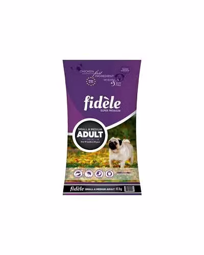 Fiddle Adult Small &amp; Medium Breed-fIddle ad 4kg