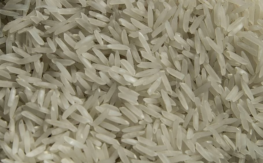 Rice image 1