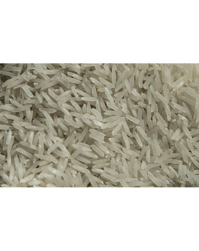 Rice-MCDC-12