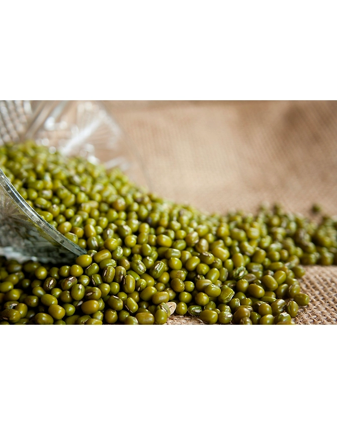 Moong-MCDC-47