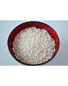 Sabudana