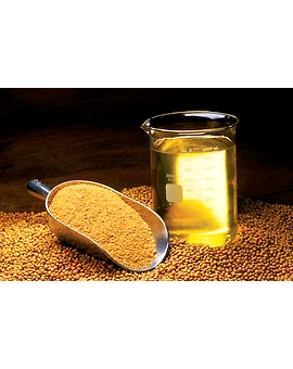 Soyabean Oil