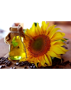 Sunflower Oil