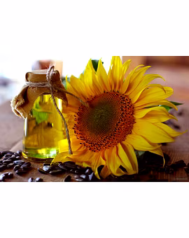 Sunflower Oil