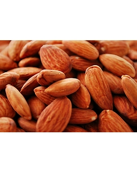 Badam