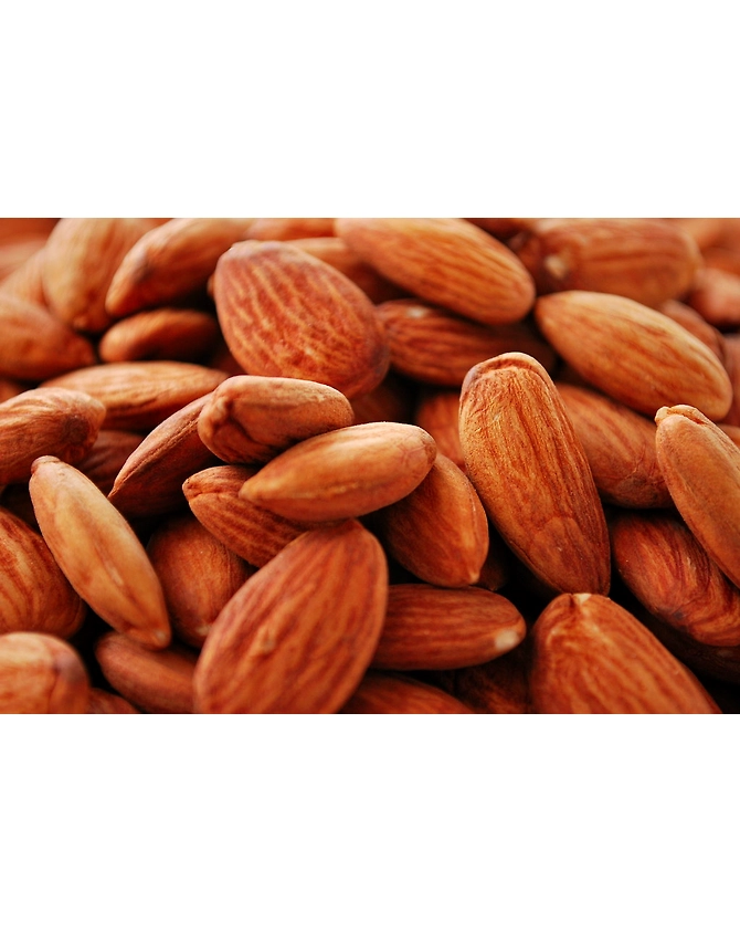 Badam-MCDC-169