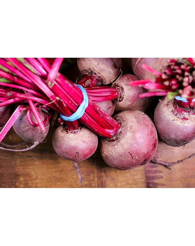 Beetroot-MCDC-194