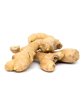 Ginger