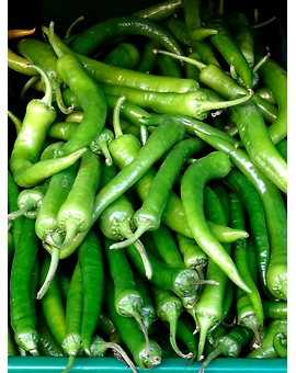 Chilli