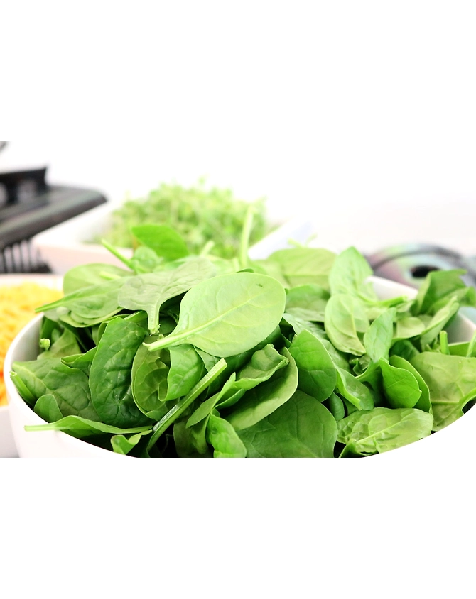 Spinach-MCDC-222