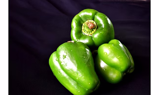 Capsicum-green