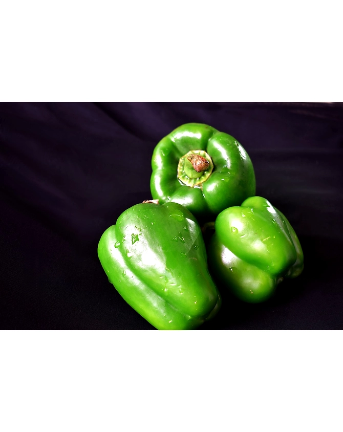 Capsicum-green-MCDC-251