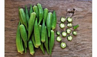 Okra/Ladies