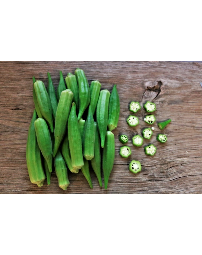 Okra/Ladies-MCDC-275