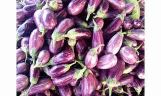 Brinjal-regular