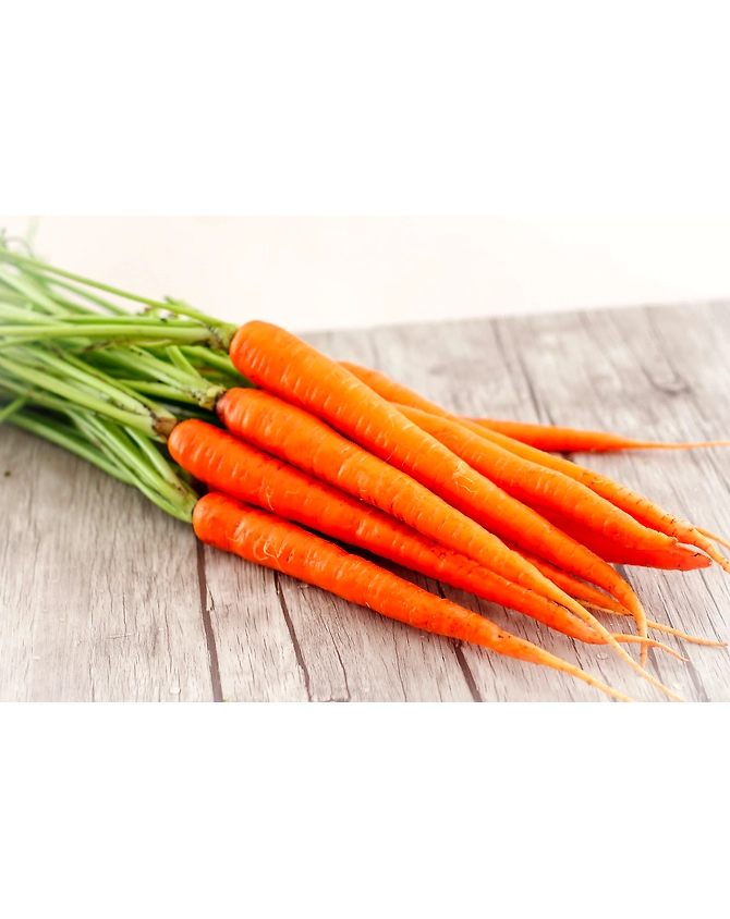 Carrot -MCDC-300