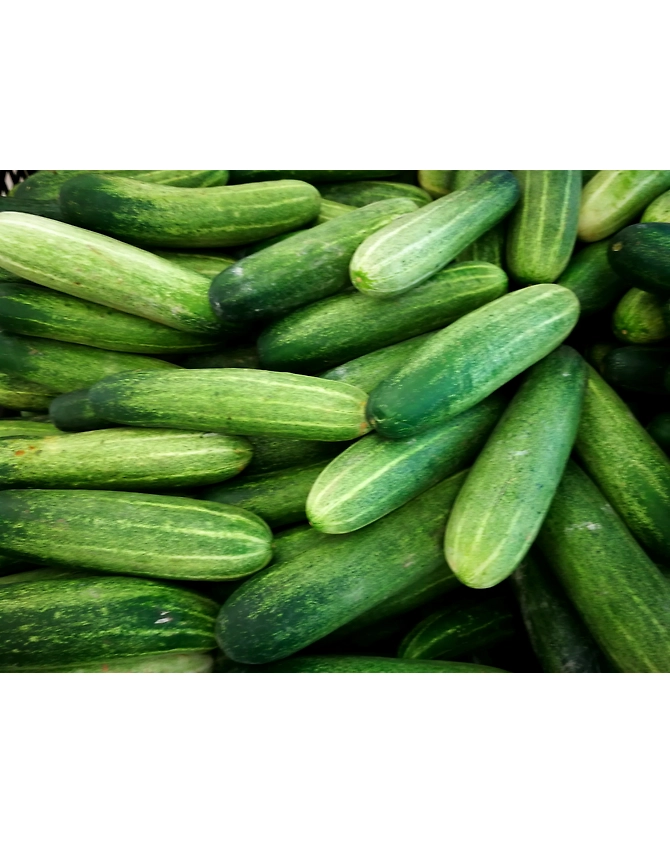Cucumber-MCDC-302