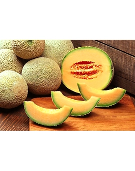 Muskmelon