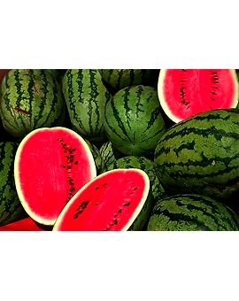 Watermelon