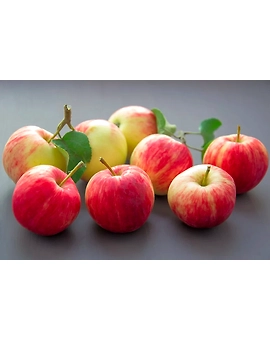 Apple 