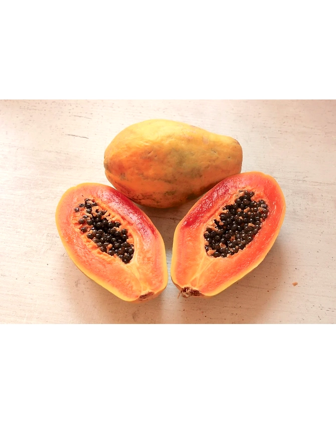 Papaya-MCDC-325