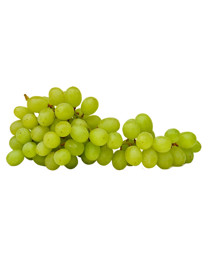 Grapes-MCDC-332