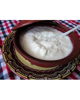 Curd