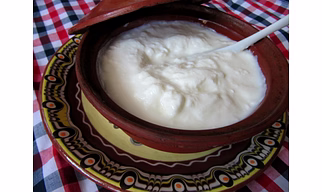 Curd