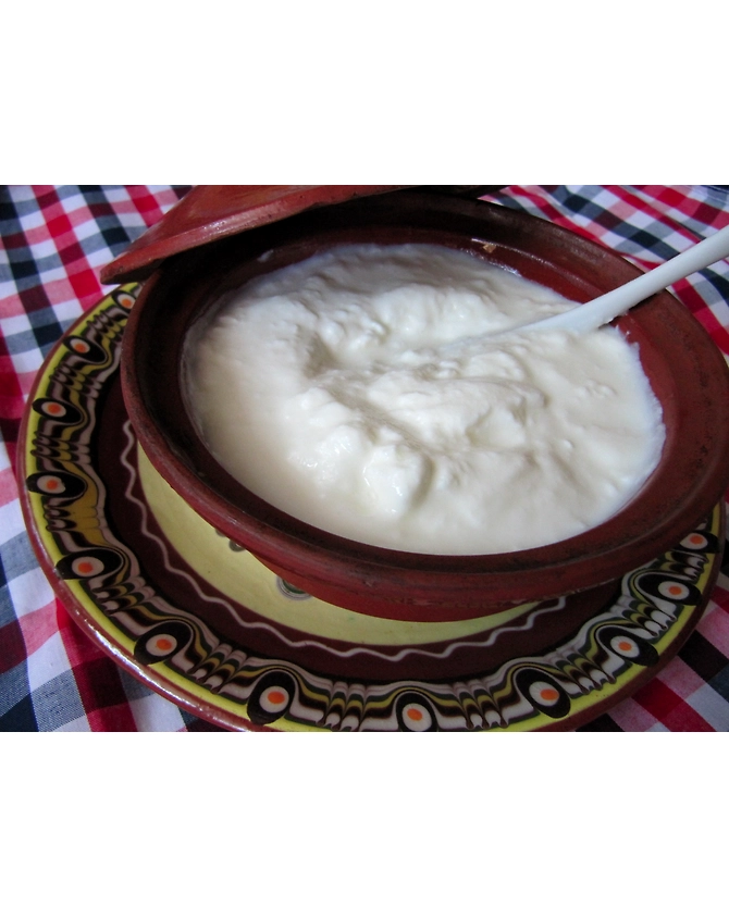 Curd-MCDC-374