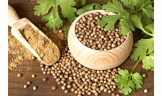 Coriander Seeds