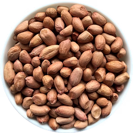 groundnut seeds